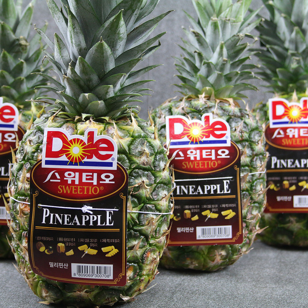 스위티오 파인애플 특대과